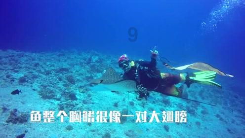 水果甜心经典版